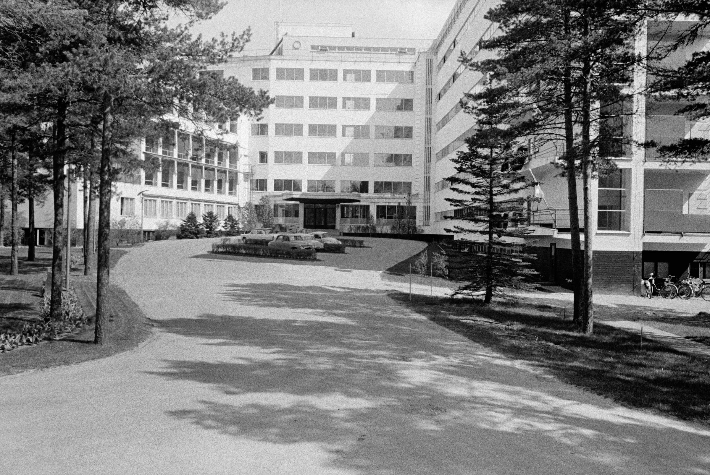 Paimio Sanatoryumu'nun uzun hasta kanadı: beyaz cephe boyunca şerit pencereler ve balkonlar, çevresinde çam ormanı