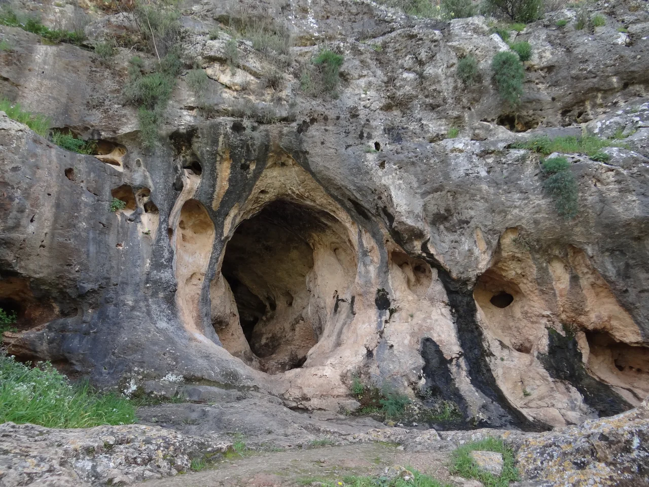 The wide entrance of Skhul Cave overlooking a lush green valley