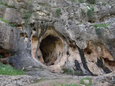 The wide entrance of Skhul Cave overlooking a lush green valley