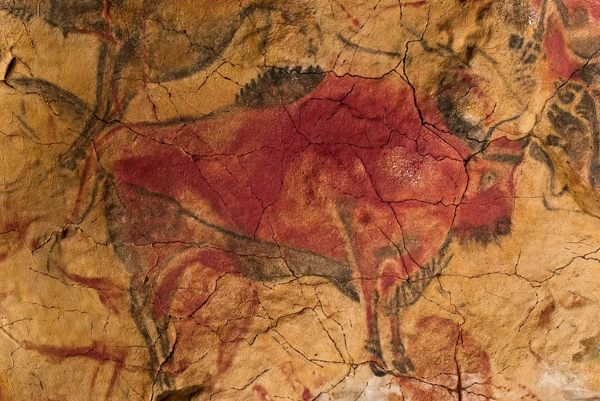 A curled Magdalenian bison painted in red and black pigments