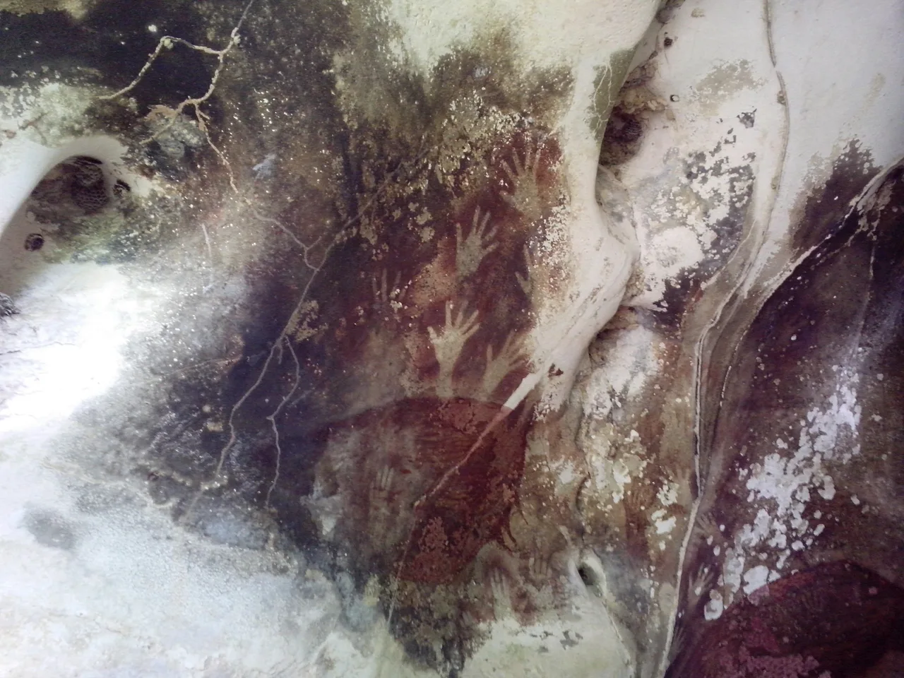 Prehistoric hand stencils sprayed with red ochre on the limestone wall of Pettakere Cave