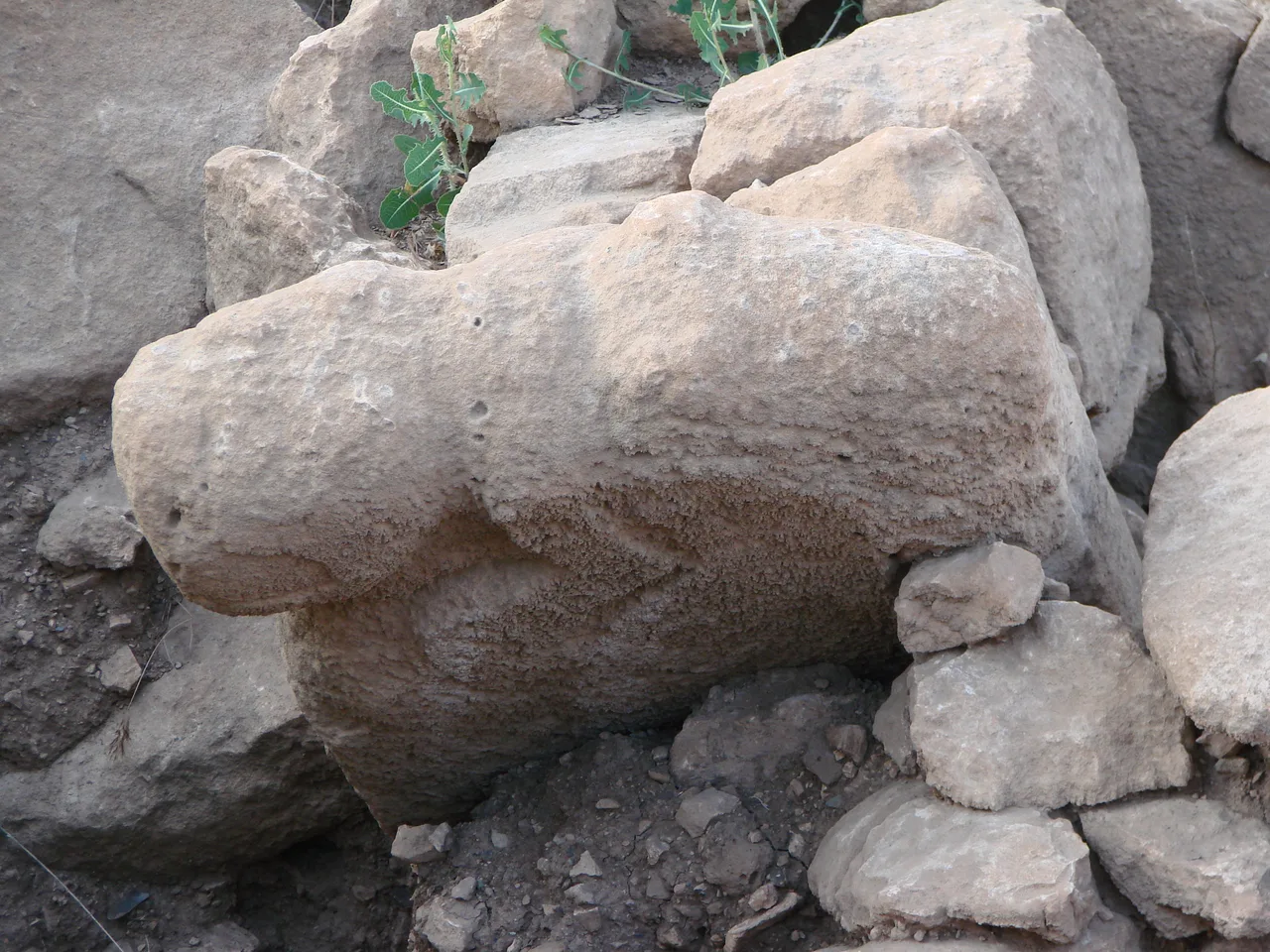 Göbeklitepe'de bir sütun üzerine işlenmiş hayvan kabartmaları