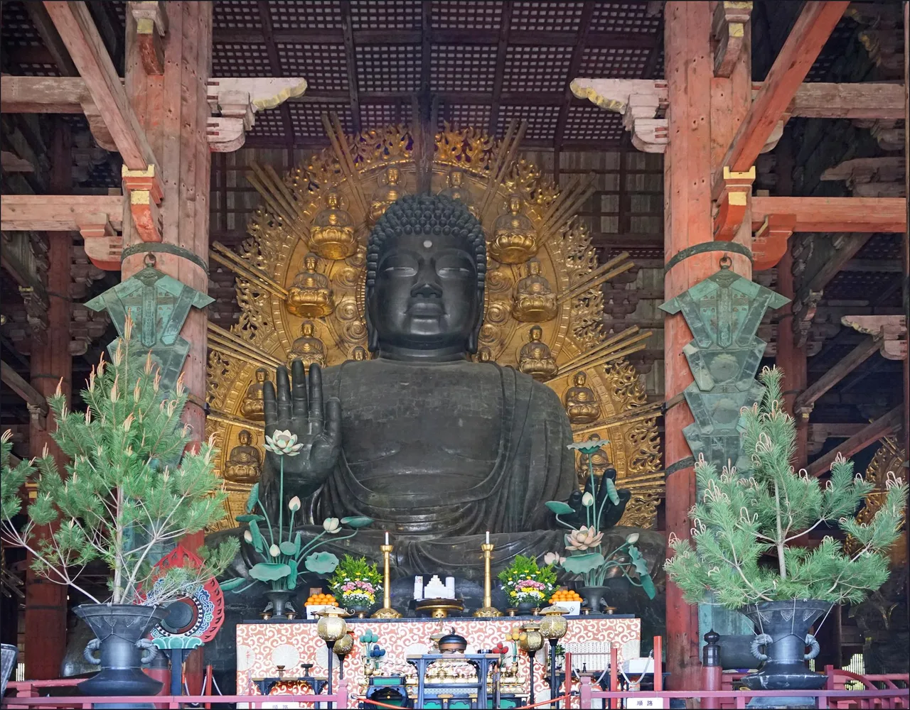 Close-up profile view of the Great Buddha statue showing facial details