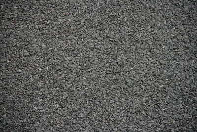 The grey field of seeds covering Tate Modern's Turbine Hall, with visitors standing at its edge