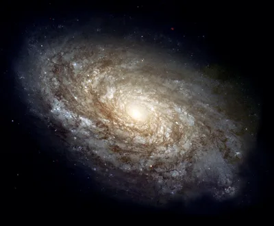 Hubble Space Telescope image of NGC 4414, a spiral galaxy patterned with bands of gas and pink-blue star-forming regions