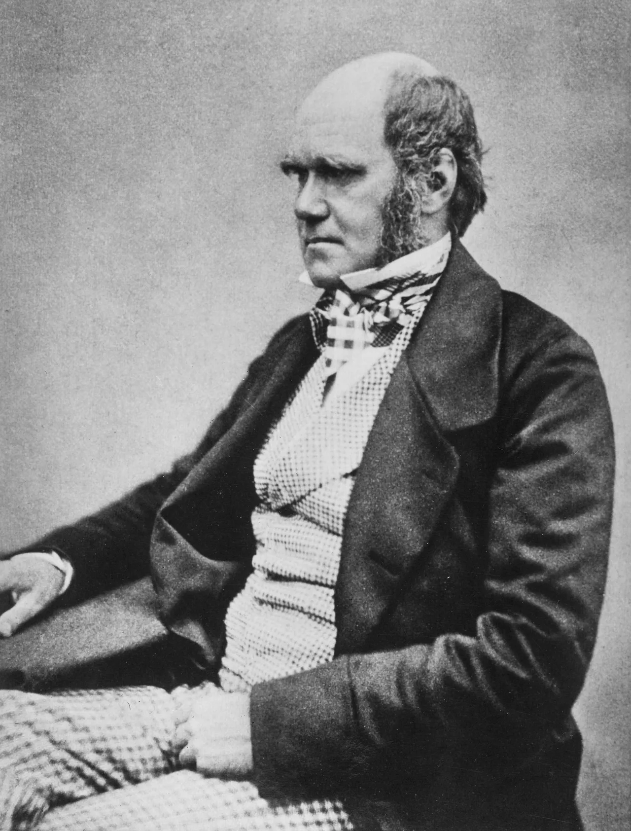 Charles Darwin'in 1854 dolaylarındaki fotoğraf portresi