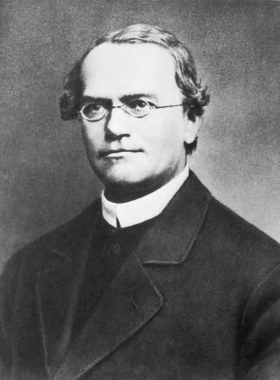 Photograph of Gregor Mendel: a middle-aged man in Augustinian friar's robes and spectacles, holding a small flower