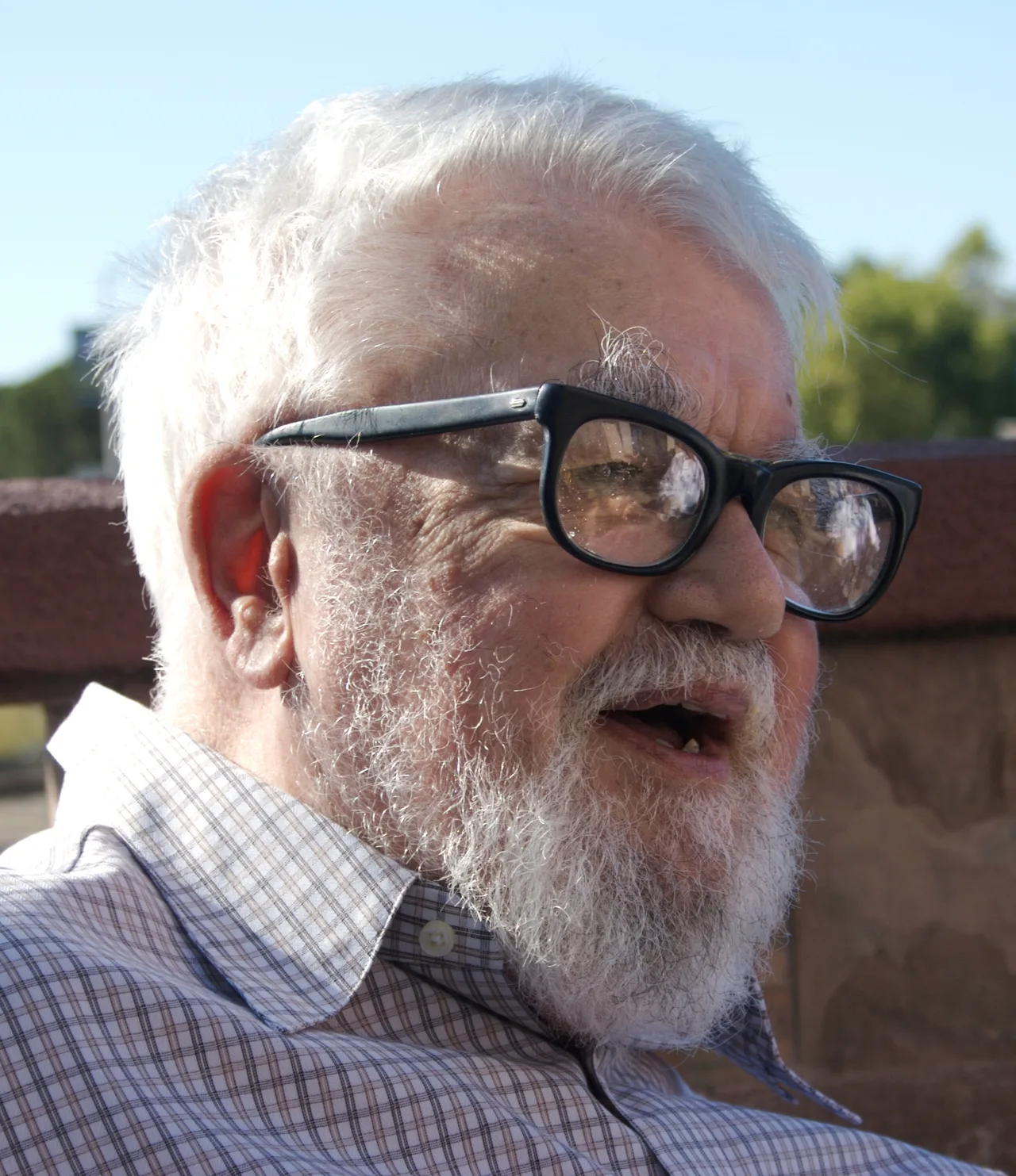 Colour portrait of John McCarthy: an older scientist with grey hair and beard, speaking in an auditorium