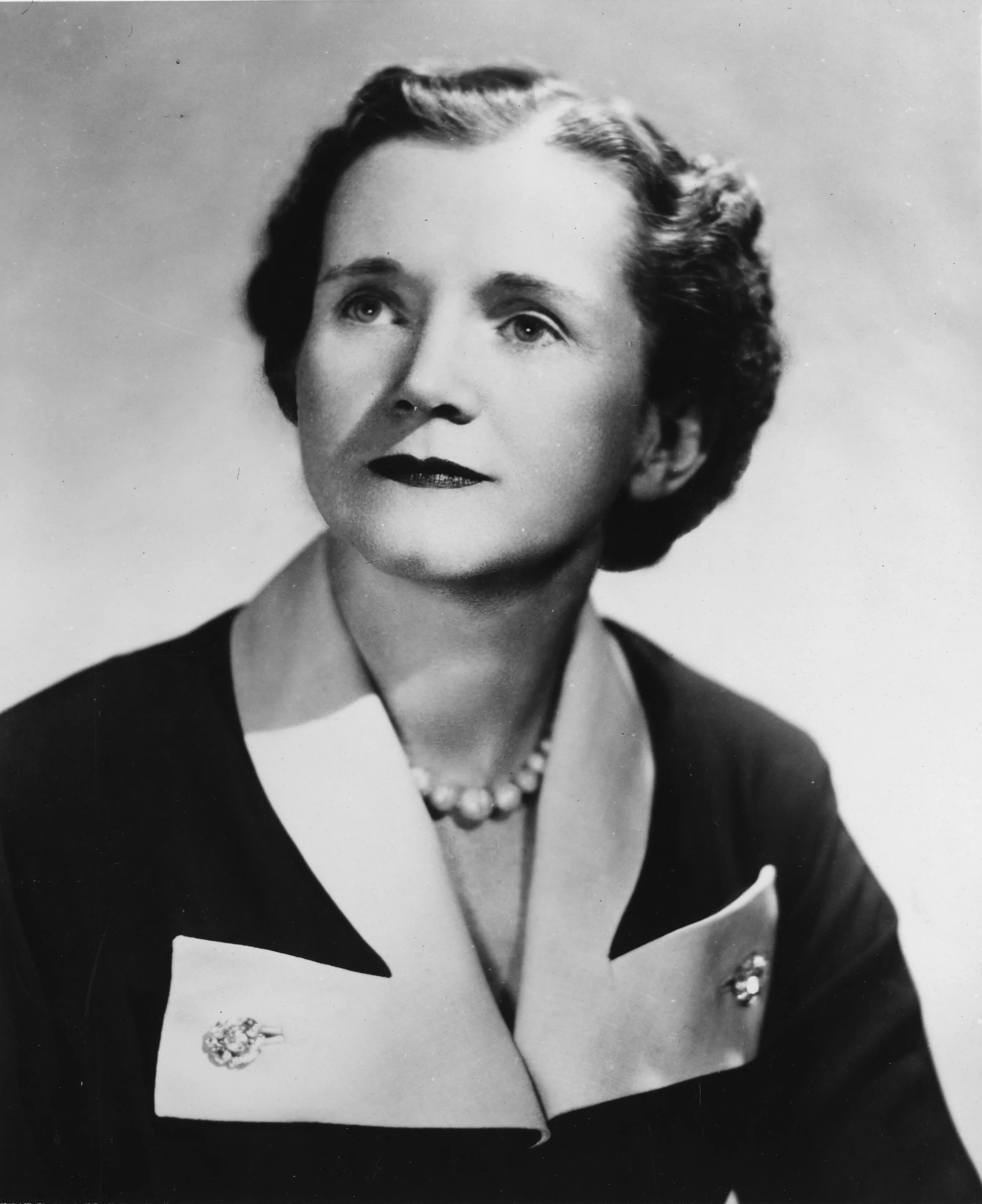 Rachel Carson'ın siyah-beyaz portresi: kısa saçlı, koyu ceketli, hafifçe gülümseyen orta yaşlı kadın