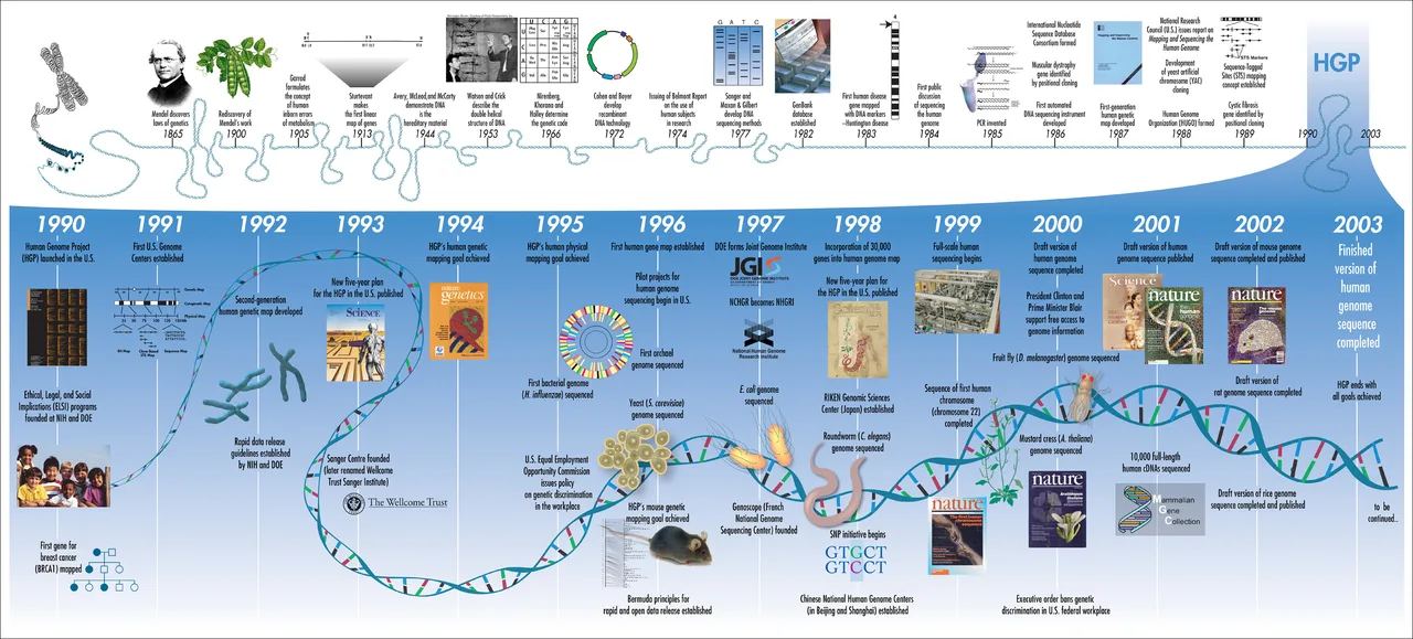 Timeline poster showing the major milestones of the Human Genome Project from 1990 to 2003