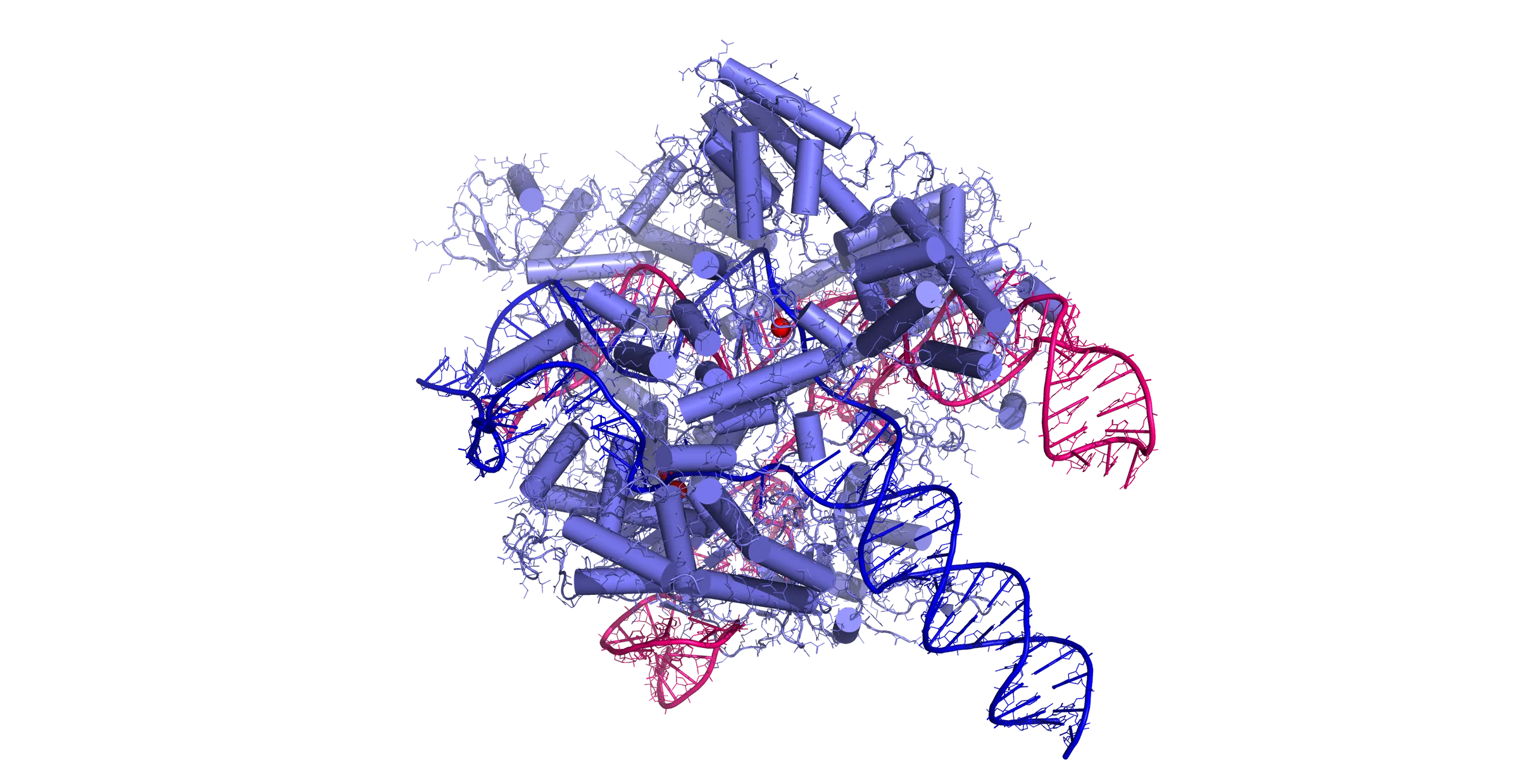 Cas9 proteininin (büyük gri kütle), tek-kılavuz RNA (turuncu sarmal) ve hedef DNA (mavi-yeşil çift sarmal) ile birlikte üç boyutlu moleküler yapı görselleştirmesi; protein DNA'yı kavrayıp kesime hazırlanmış