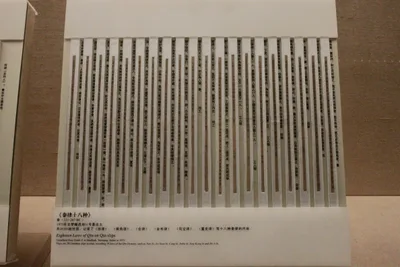 Hundreds of narrow bamboo strips inscribed with Chinese characters, standing upright in a museum case