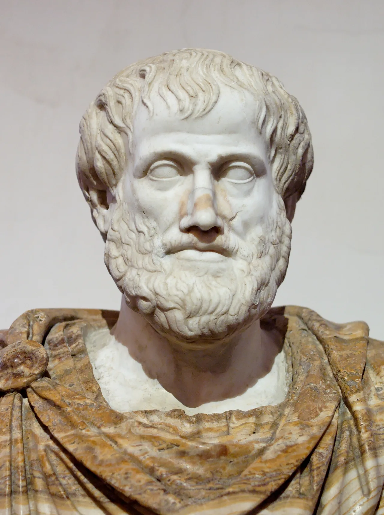 Marble bust of Aristotle — a bearded man with short curly hair, head turned slightly to the left
