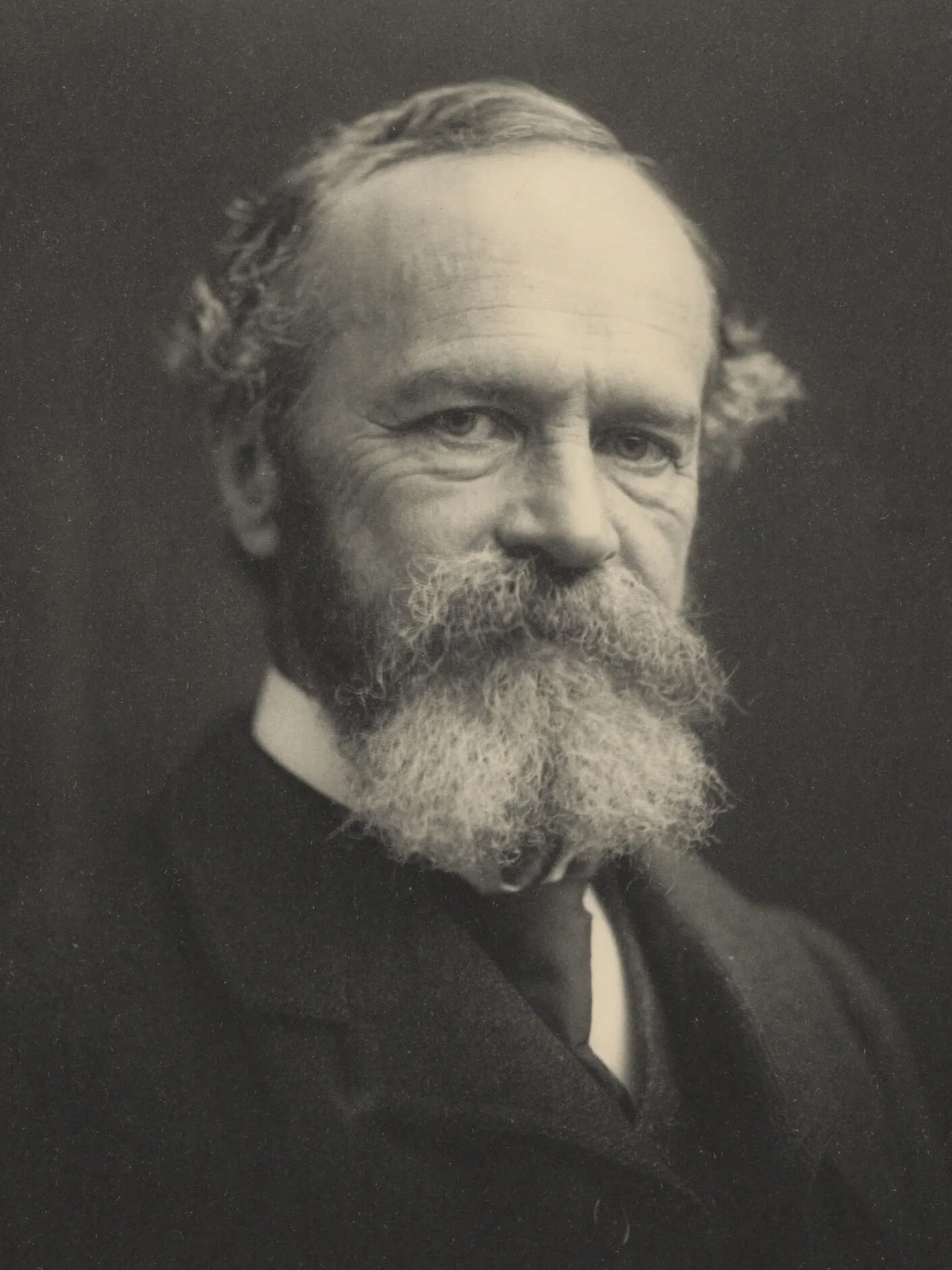Portrait of William James: a bearded, suited, soberly gazing middle-aged academic (c. 1890s)